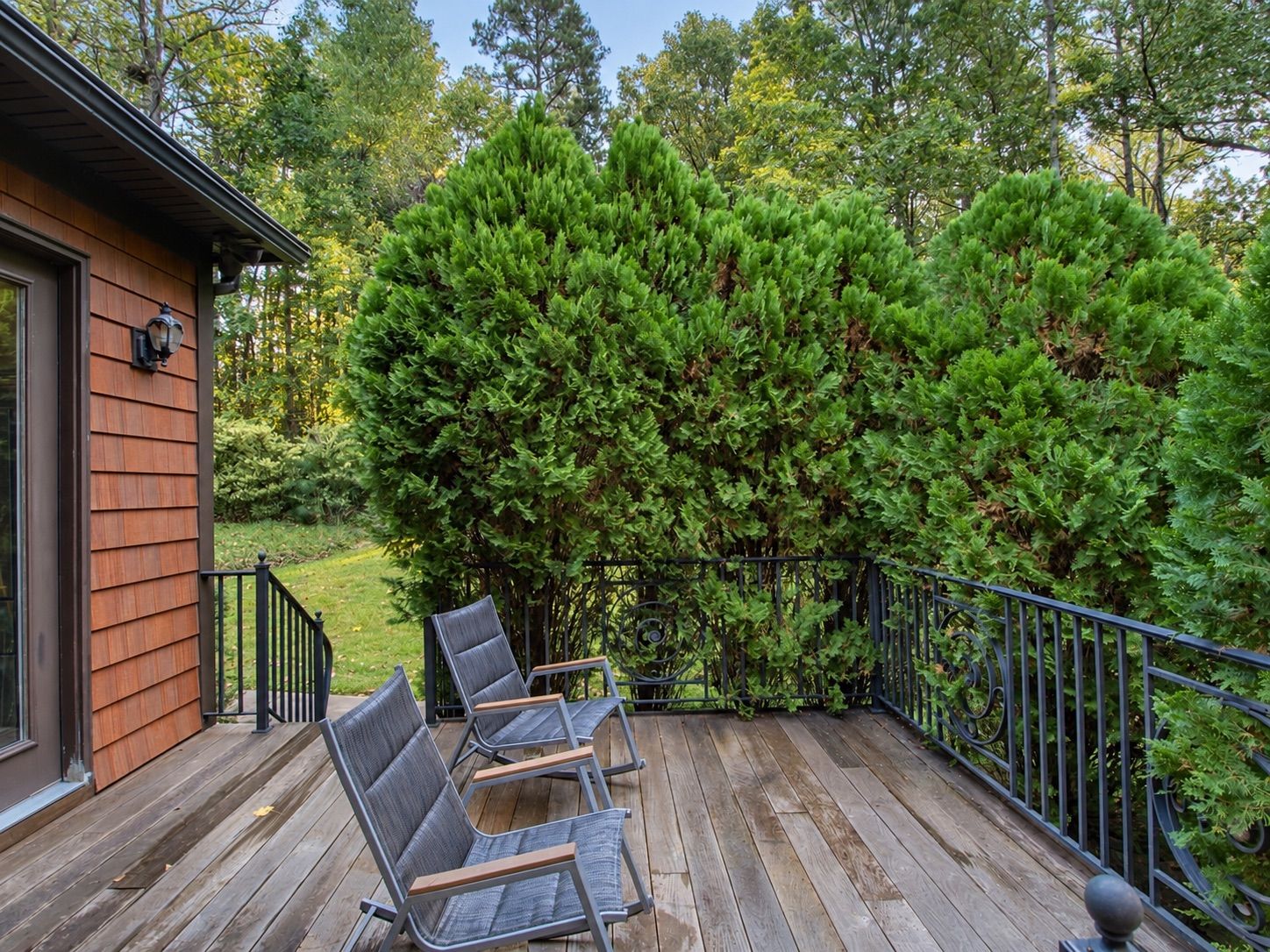 Wood deck with rocking chairs surrounded by evergreen trees